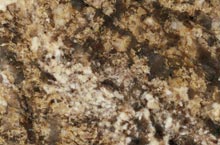 Stones International Giallita