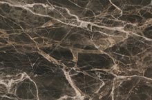 Stones International Breccia Paradiso